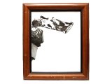 Ralph Lauren Photo Framed Store Display ラルフ・ローレン 店内 ディスプレイ #35