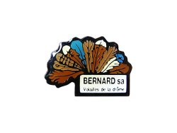 画像1: Vintage Pins（ヴィンテージ・ピンズ） #0314  1990'S "BERNARD sa "  France 
