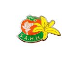 Vintage Pins（ヴィンテージ・ピンズ） #0333  1990'S "S.A.H.H." Pins  FRANCE