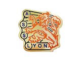 Vintage Pins（ヴィンテージ・ピンズ） #0380"ASS LYON" 1990'S Pins France