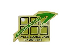 画像1: Vintage Pins（ヴィンテージ・ピンズ） #0407 "LYCEE LOUISE LABE Lyon 7eme"