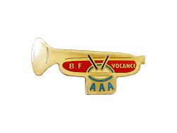 画像1: Vintage Pins（ヴィンテージ・ピンズ） #0436  "BF VOCANCE AAA" Pins  France
