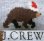 画像2: J.Crew LIGHT WEIGHT Bear Socks/ジェイ・クルー 熊総柄 ライト・ウエイト ソックス (2)