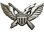 画像1: Deadstock US.Military Pins #649 11th AIRBORNE Air Assault Lightening Bolt (1)
