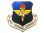 画像1: Deadstock US.Military Pins #722 USAF Air Training Command(ATC) Pin 中 (1)