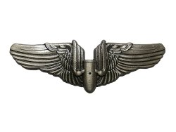 画像1: Deadstock US.Military Pins #769 USAAF'S Aerial Gunner Badge Pin 大