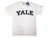 Champion®College Tee チャンピオン・カレッジ 白 イェール大学 "Yale"