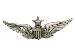 画像1: Deadstock US ARMY Pins #847 USAAF Senior Aviator Pilot Wing 中