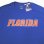 画像3: Champion®College Tee チャンピオン・カレッジT 青 "University of Florida"