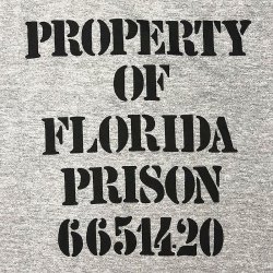 画像4: Deadstock 1980S FLORIDA PRISON Ringer Tee デッドストック アメリカ製　