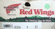 画像2: Deadstock 1991'S RED WING 204 6inch Oro Russet×Super Sole USA製 箱付  (2)