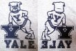 画像3: Champion®College Tee チャンピオン・カレッジTシャツ 灰 "Yale Bulldogs" (3)