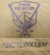 画像4: ARC'TERYX LEAF "EVOLVE PER FACTUM" Tee アークテリクス リーフ Tシャツ (4)