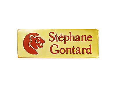 画像1: Vintage Pins（ヴィンテージ・ピンズ） #0477  "Stephane Gontard"  Pins  France
