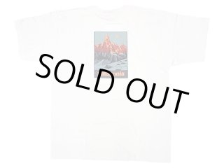 Deadstock 1996'S Patagonia THE WILDLANS PROJECT Tee