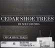 画像7: Allen Edmonds CEDER SHOE TREES Made in USAアレン・エドモンズ シューツリー (7)
