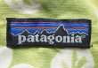 画像5: Deadstock 1999'S Patagonia BAGGIES ENV380 パタゴニア バギーショーツ (5)