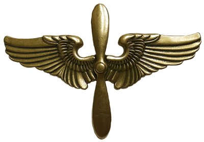画像1: Double RL(RRL) Brass Pins #3 ARMY AIR FORCE ダブルアールエル ピンバッジ 