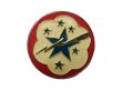 画像1: Deadstock US.Military Pins #630 WWII US ARMY FORCES Western Pacific  (1)