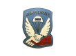 画像1: Deadstock US.Military Pins #634 WWII US503 AIRBORNE "THE ROCK"Pins (1)