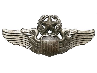 画像1: Deadstock US.Military Pins #767 US.AIR FORCE Master Pilot Wings Pin 大
