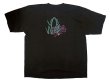 画像3: Deadstock 1998'S Patagonia FROG Tee パタゴニア Tシャツ アメリカ製 黒タグ (3)
