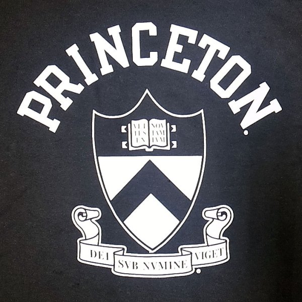 画像3: Champion®College Tee チャンピオン・カレッジTシャツ 黒 "Princeton" (3)