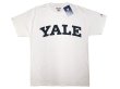 画像1: Champion®College Tee チャンピオン・カレッジ 白 イェール大学 "Yale" (1)