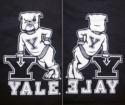 画像1: Champion®College Tee チャンピオン・カレッジTシャツ 紺 "Yale Bulldogs"