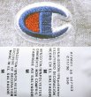 画像5: Champion®College L/S Tee チャンピオン  ロングスリーヴ ダートマス大学 (5)