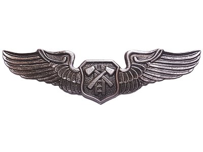 画像1: Deadstock US.Military Pins #808 US Wings Large Pin Pewter 大※調査中 