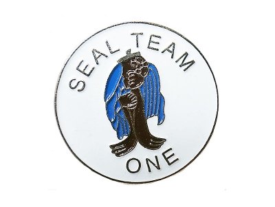 画像1: Deadstock US.Military Pins #829 United States NAVY SEALs TEAM1 Pin