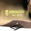 画像7: BIRKENSTOCK® Boston 660731 ビルケンシュトック ボストン 新品 箱付 (7)