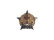 画像1: 10K Yellow Gold & Diamond Legion of Honor Award Lapel Pin #858 (1)