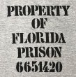 画像4: Deadstock 1980S FLORIDA PRISON Ringer Tee デッドストック アメリカ製　 (4)