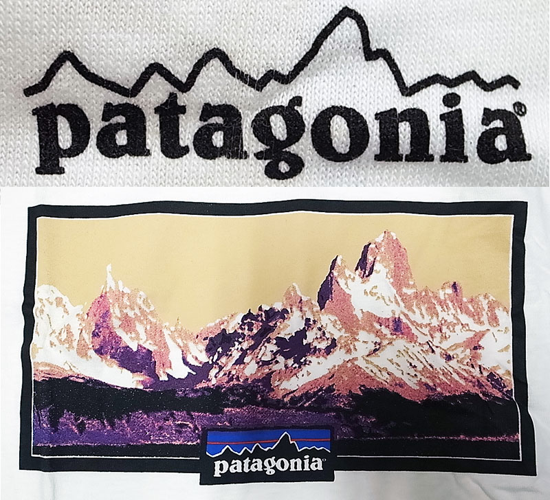 表記サイズLADeadstock 1995'S Patagonia LOGO Tee パタゴニア ロゴTシャツ 黒タグ ... 10332円