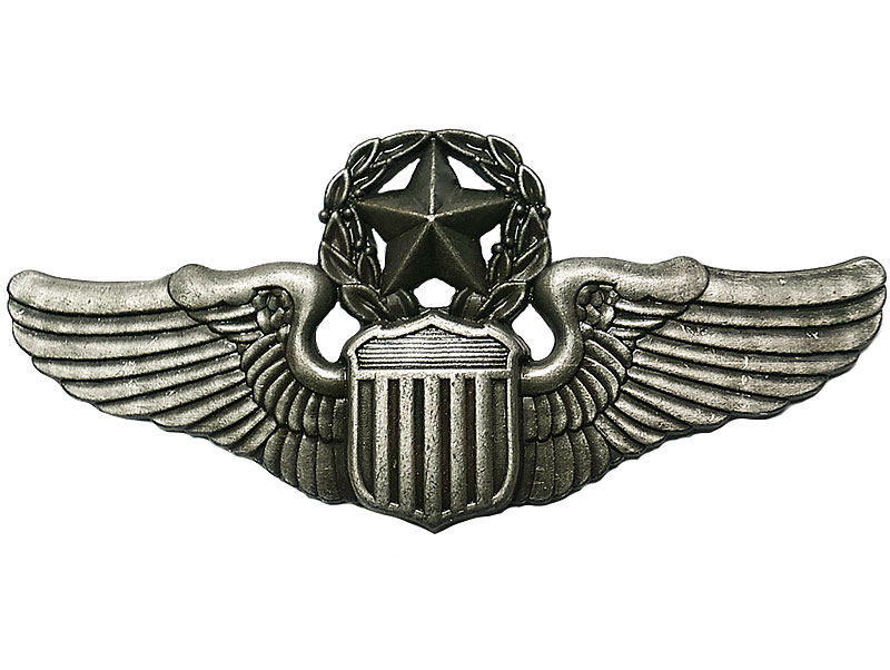 ピンバッジ WWI ERA US Military Officers Hat Badge Pin Eagle Pin Back 